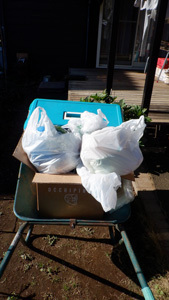 DSCF7150.JPG