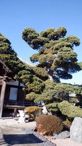 DSCF7172.JPG