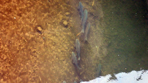 DSCF7782.JPG